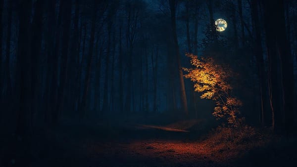 모자의 저녁: 변화의 갈림길에서 마주한 우리의 오늘, 그리고 내일