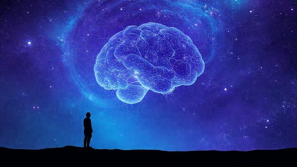 의식이란 무엇인가 — 우주에 대하여 ②