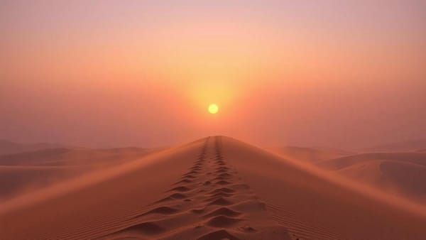 라떼의 아침: 중동의 안개 속, 새로운 아침을 향한 발걸음